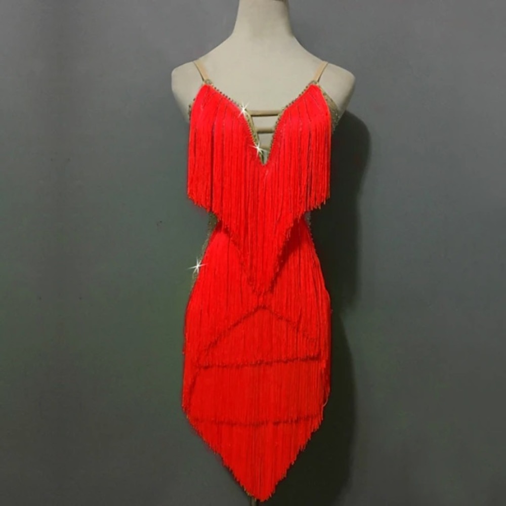 Latin Dance Costume